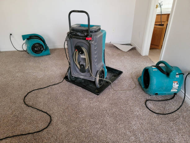 Best Professional water damage repair  in Jamesport, NY