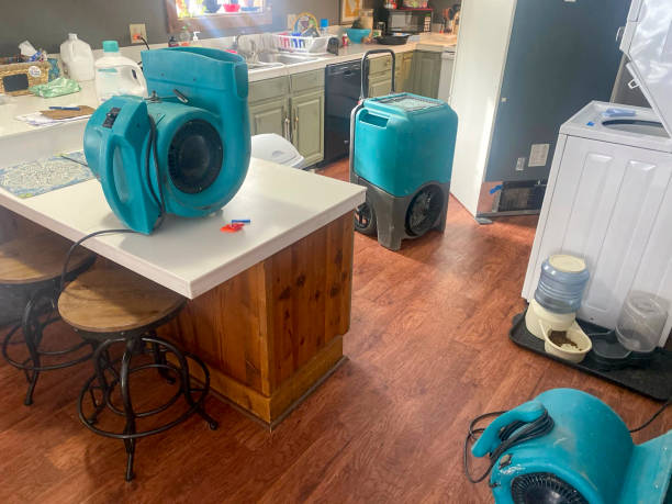 Best Flood damage cleanup  in Jamesport, NY