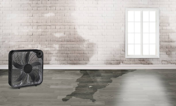 Best Water damage restoration near me  in Jamesport, NY