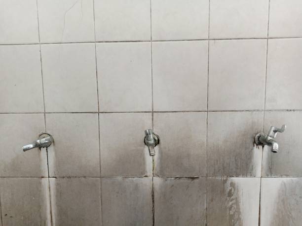 Best Water damage cleanup near me  in Jamesport, NY