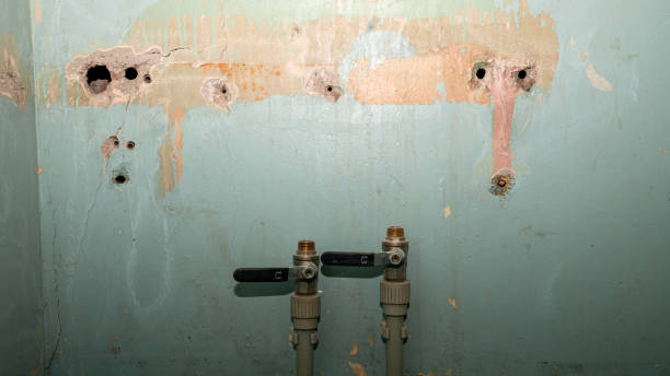 Best Water damage cleanup near me  in Jamesport, NY