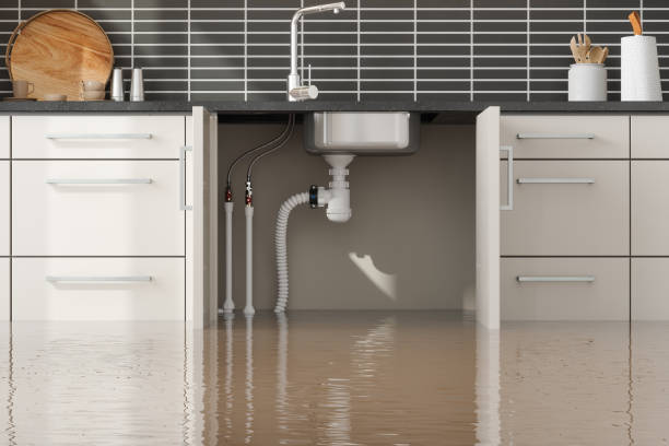 Best Fire Damage Restoration  in Jamesport, NY